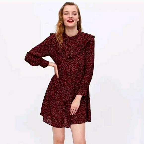 Leopard print cute dress - Picture 4 of 6